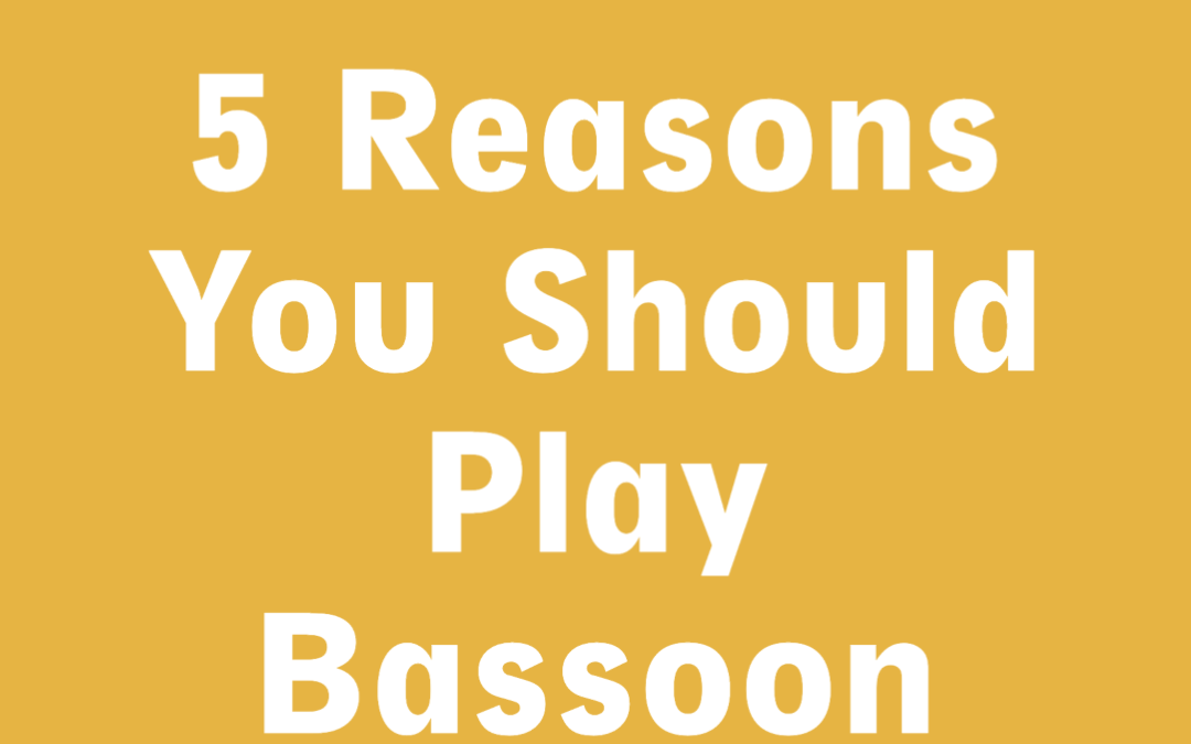 5 Reasons You Should Play Bassoon