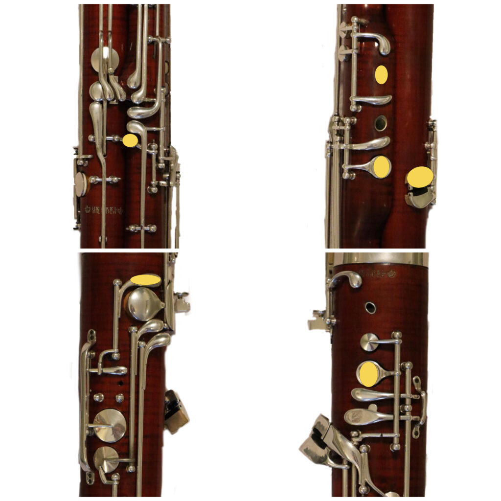 How to Play Beginning Bassoon Notes & Fingerings (Great for Band Class